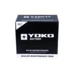BATERÍA YOKO 55B24RS 45AH 430CCA - Imagen 3